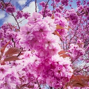 Meet your Posher, Christy